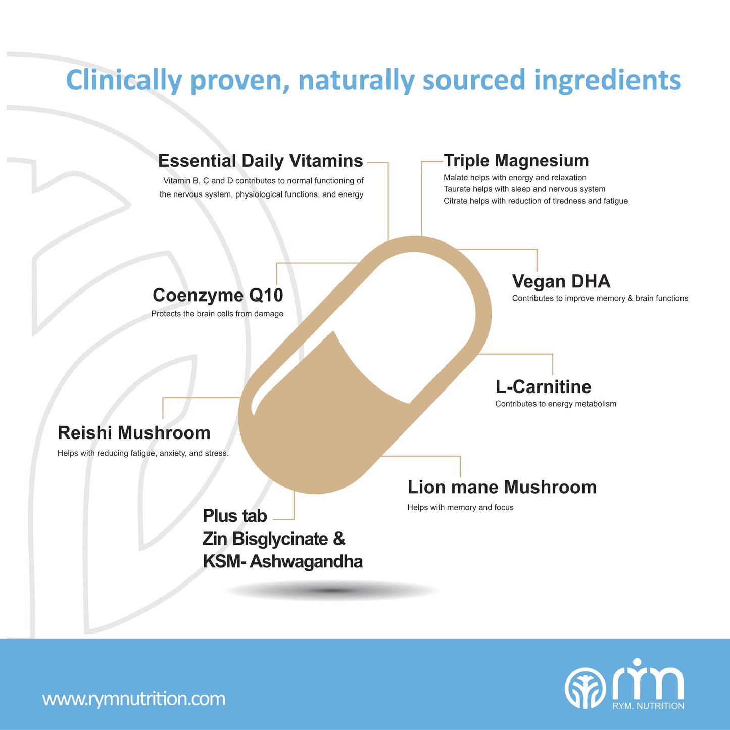 BRAIN FORMULA - R.Y.M. Nutrition