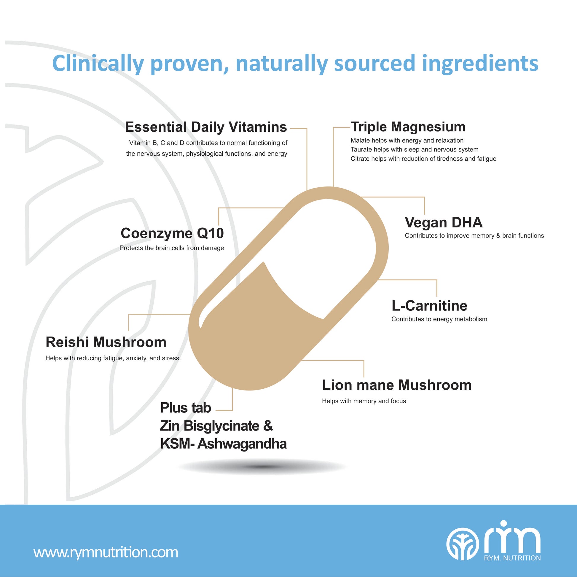 BRAIN FORMULA - R.Y.M. Nutrition